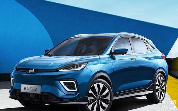 深圳盐田区迈洋威企业管理咨询WEY威派豪华SUV市场的黑马，零跑汽车与智能交通系统的协同